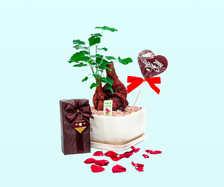 עץ האהבה בכלי קרמיקה, שוקולד אהבה